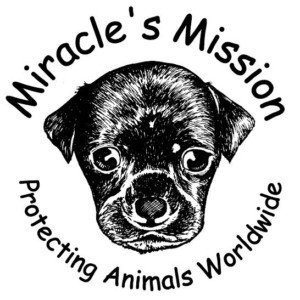 miracles missionn animal chairty